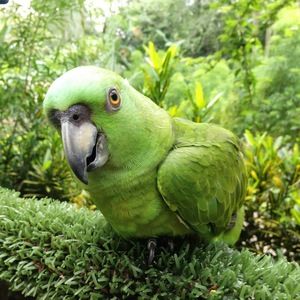 Meet your Posher, Missy